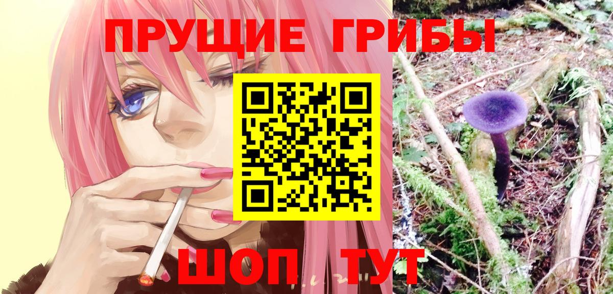 Верхняя Салда  Псилоцибиновые грибы мухоморы  Вход с VPN 