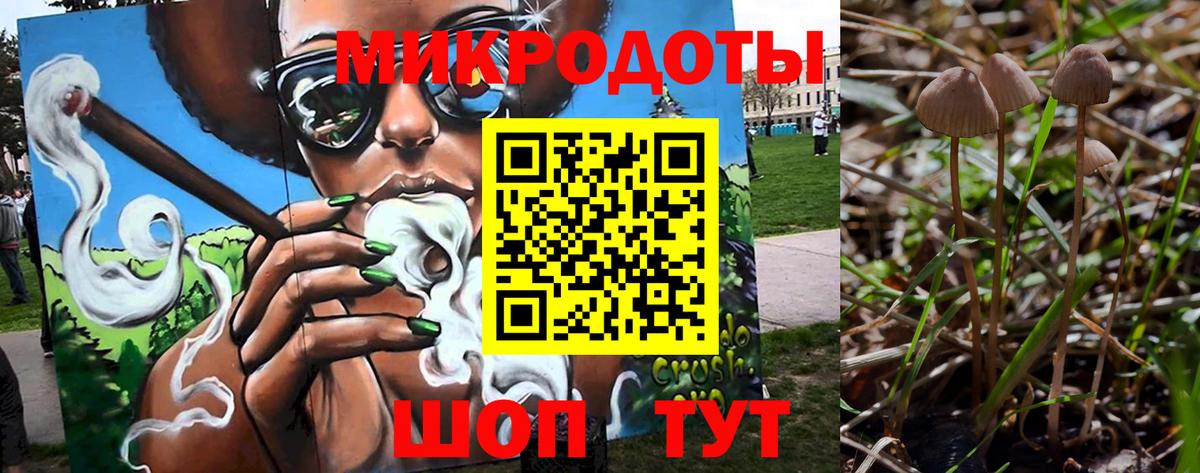 Галлюциногенные грибы Psilocybine cubensis Верхняя Салда
